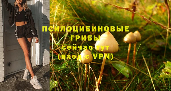 метадон Киреевск