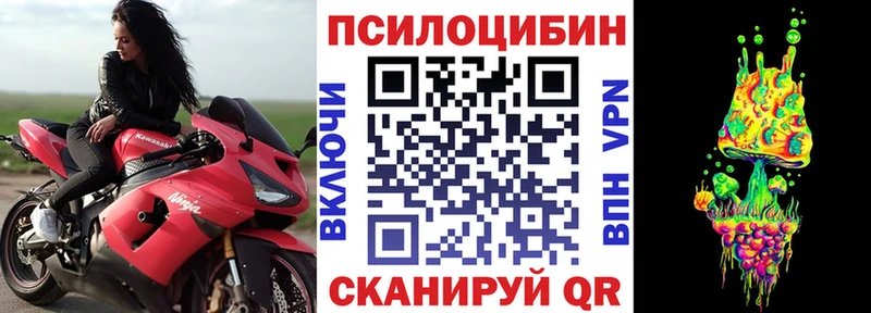 закладки  Сорск  Псилоцибиновые грибы ЛСД 