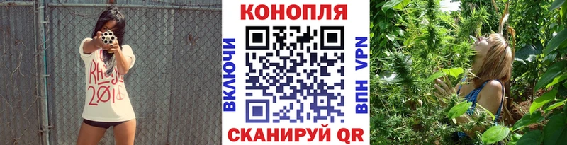 купить  сайты  Сорск  Каннабис семена 